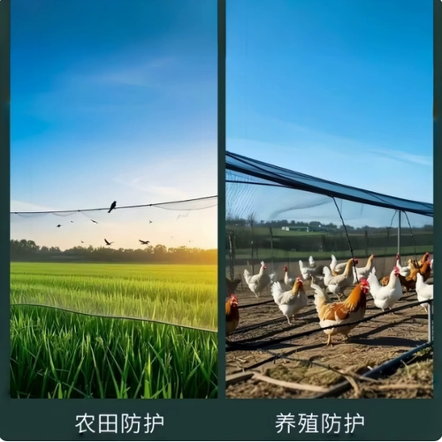 果园防鸟网户外果园专用网神器樱桃葡萄园种植鱼塘养殖大棚防护网