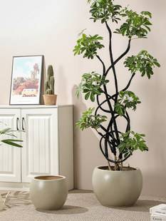 北欧风落地家用陶瓷花盆现代百搭新款圆球型鸭脚木百合竹地面花盆