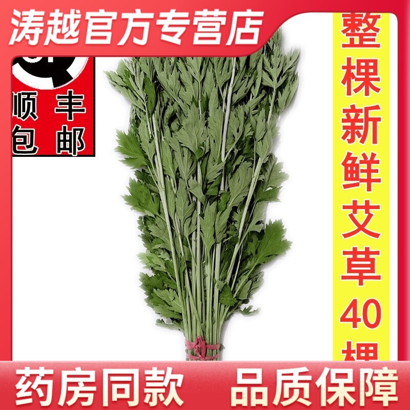 新鲜野生整颗艾草艾叶长棵艾叶草端午节挂门上整把全株艾草叶驱蚊