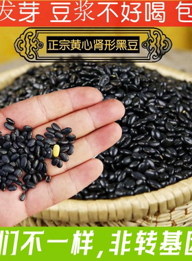 小黑豆农家自种发豆芽打豆浆醋泡