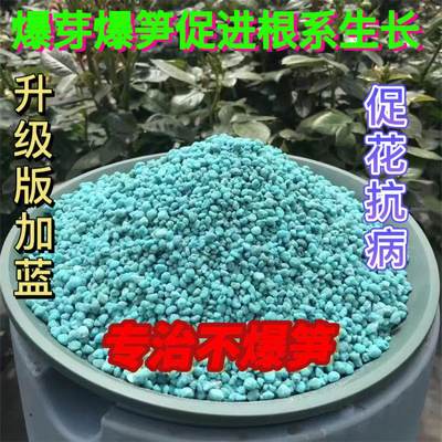 月季花专用高钾高磷爆笋肥促进根系生长升级加蓝氮磷钾水溶复合肥