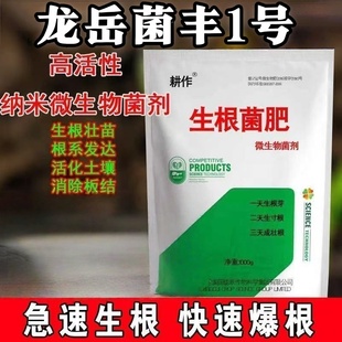 龙岳菌丰1号内生菌根菌剂am菌生根壮苗增强植物抗逆性深入根系