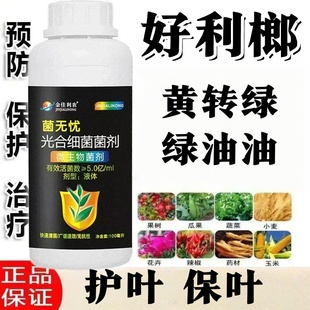 好利榔光合细菌菌剂海南槟榔专用黄转绿护叶保叶