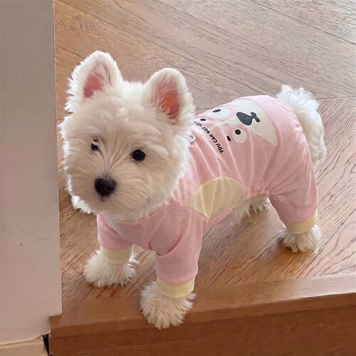 小狗狗衣服夏季薄款猫咪小型犬四脚衣防掉毛冰丝宠物凉凉衣可牵引