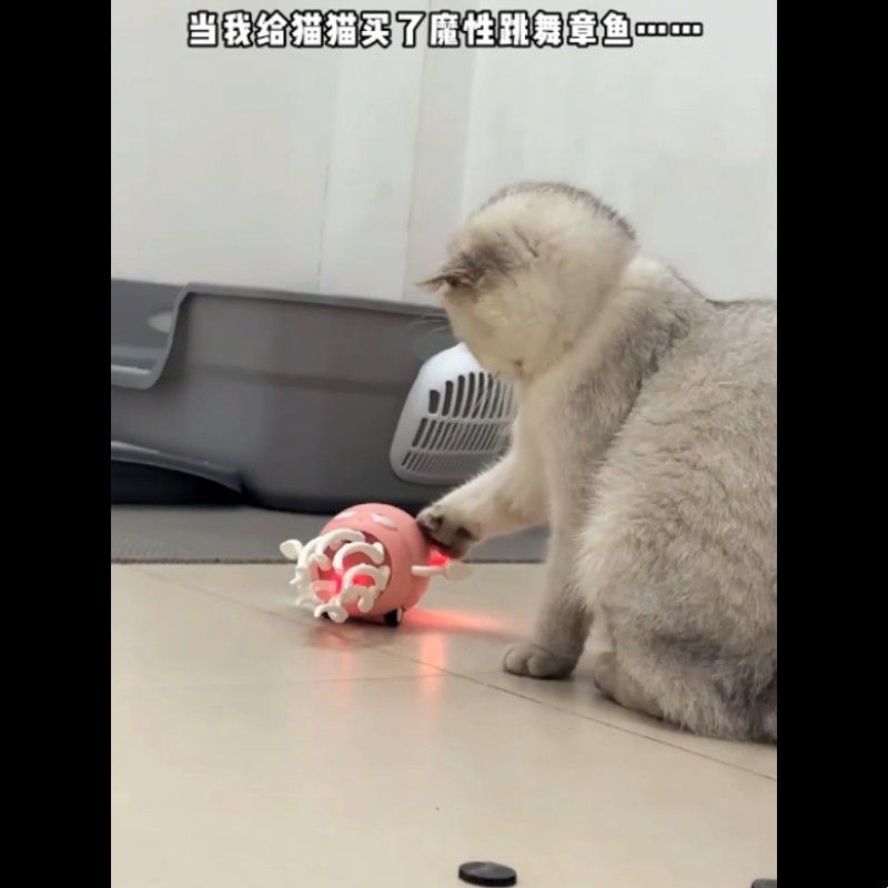 2026新款魔性跳舞章鱼玩具仿真益智早教玩具撸猫多功能感应玩具