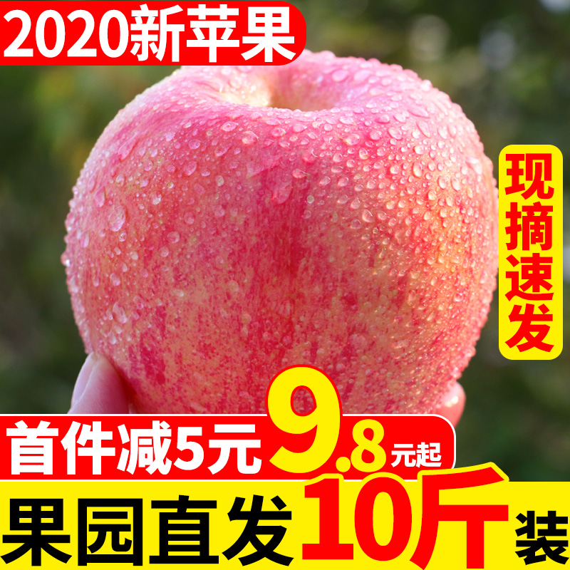 苹果水果新鲜嘎啦果当季水果整箱十脆甜陕西红富士丑萍果平果10斤