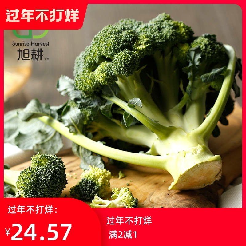 花椰菜特价 天猫花椰菜优惠券 淘宝花椰菜优惠卷免费领取 白菜哦