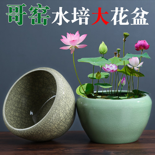 铜钱草水仙水培花盆陶瓷哥窑水养荷花睡碗莲一叶莲特大号鱼缸无孔