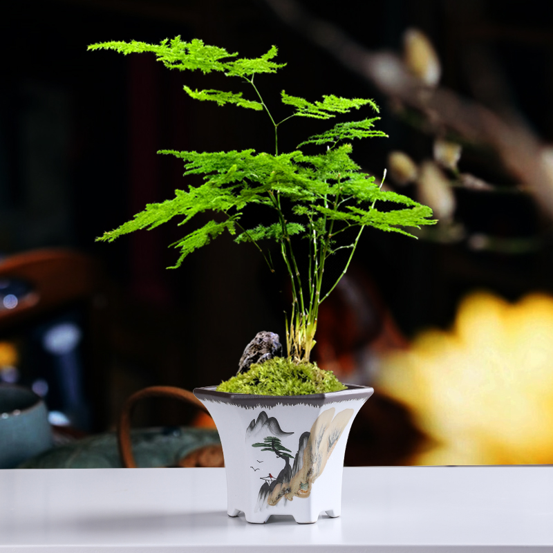 紫砂手绘多肉花盆陶瓷家用室内复古兰花蝴蝶兰创意简约盆栽清仓