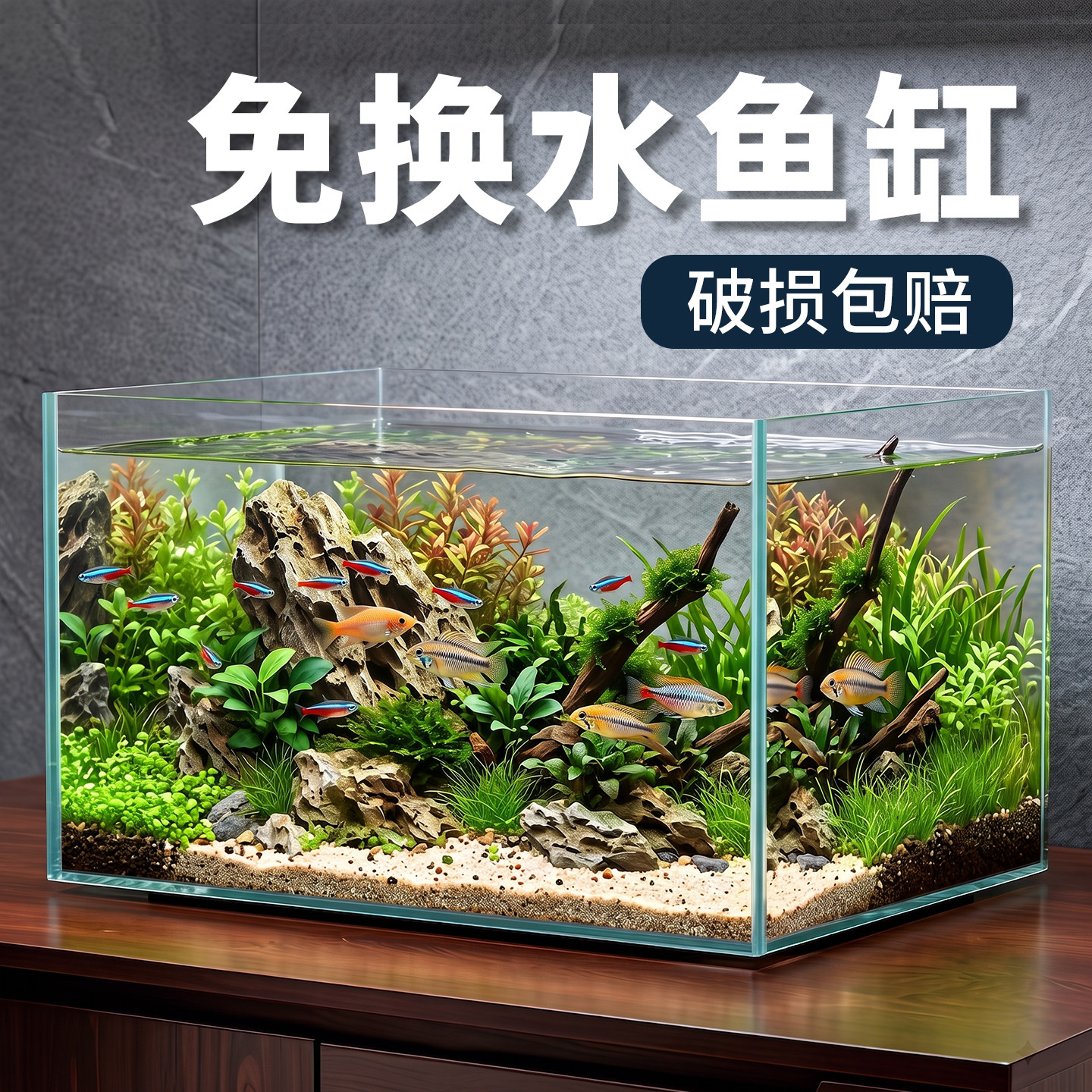 宝宁客厅超白鱼缸新手缸全套图片