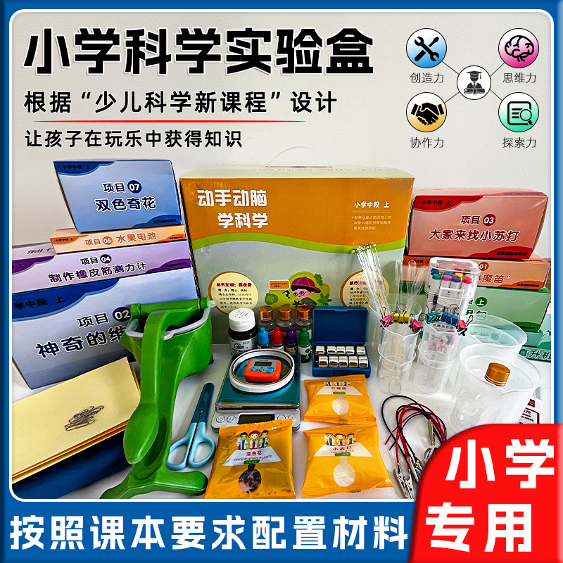 动手动脑学科学益智亲子实践活动