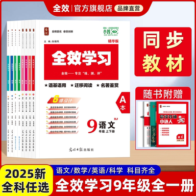 2025全效学习大考卷九全语数英科