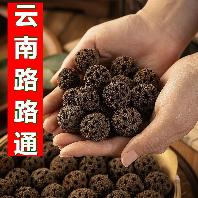 路路通中药材枫球子枫树球露露通