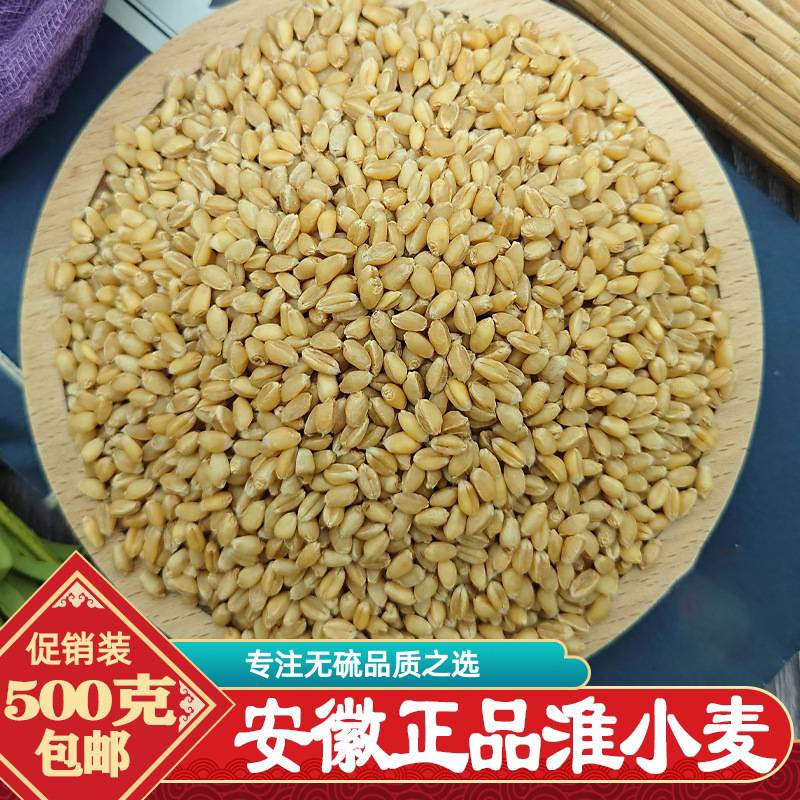 中药材淮小麦正宗安徽淮小麦江淮淮小麦甘草红枣甘麦大枣汤浮小麦