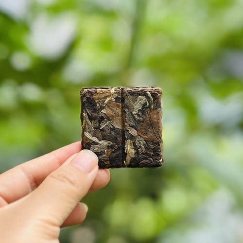 千家寨古树白茶小方片