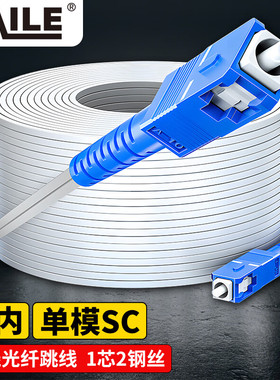 HAILE海乐 皮线光纤延长线电信级 单模单芯1芯2钢丝SC-SC尾纤跳线 室内入户线10-200米GJXH-2SC-200S 白色