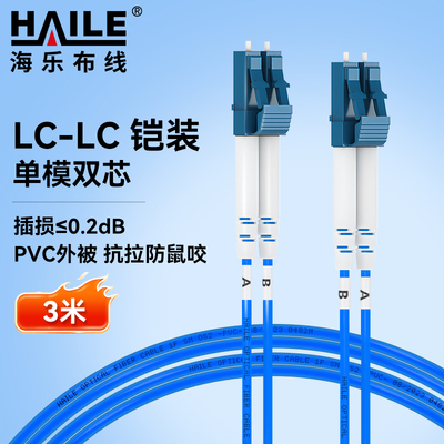 HAILE海乐 铠装防鼠咬光纤跳线 电信级单模双芯尾纤LC-LC跳纤 9/125   HJ-2LC-LC-SK3