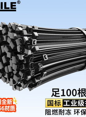 海乐 扎带 尼龙扎带 多功能透明理线带 自锁式阻燃超长扎带大号 5.6*250mm 黑色100根ZD-25H-100-6