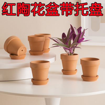 多肉红陶花盆透气带托盘红陶简约
