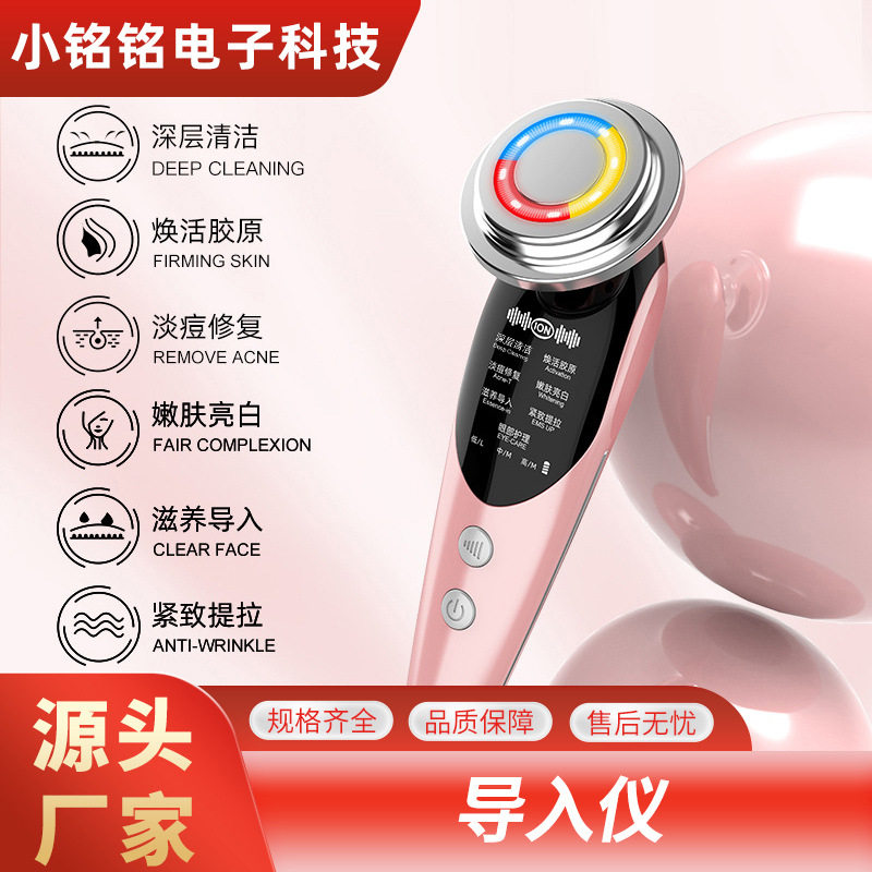 跨境EMS离子导入仪面部彩