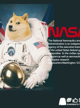 ins美式恶搞NASA联名柴犬宇航员doge印花宽松春秋圆领卫衣男女