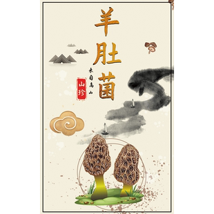 黑木耳贴纸标签蘑菇香菇榛蘑贴纸羊肚菌姬松茸茶树菇山珍松茸干黑松露白木耳鹿茸菇赤松茸鸡枞菌不干胶贴c