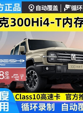 坦克300hi4t哨兵模式专用存储卡CLASS10行车记录仪高速存储卡tf卡