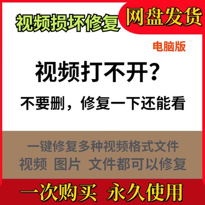 视频打不开修复软件文件图片音频损坏恢复工具mp4 mp3修复功能强