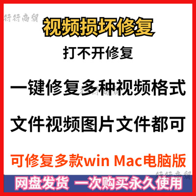 损坏MP4视频图片文件音频word/ppt/pdf打不开电脑修复软件工具