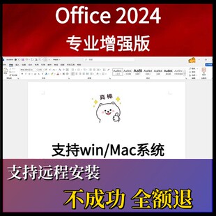 excel office2024專業(yè)增強版 19辦公軟件word ppt支持win 2021 Mac