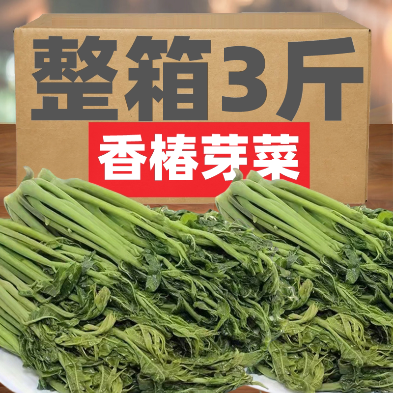 yzy香椿芽咸菜山东特产新鲜腌制香椿头茬红香椿芽盐渍下饭菜酱菜