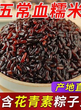 ZL五常血糯米】新米东北农家黑糯米粽子米紫糯米1斤5斤杂粮