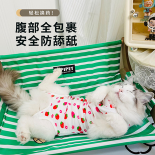 猫咪绝育服母猫手术服轻薄款透气戒奶断奶衣服公猫防舔术后护肚衣