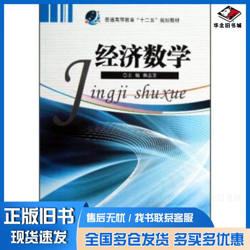 正版旧书经济数学和志芳编中国地质大学出版社9787562527770
