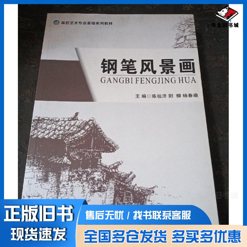 正版旧书钢笔风景画陈祖泽阳柳杨春晓主编首都师范大学出版社9787565638541