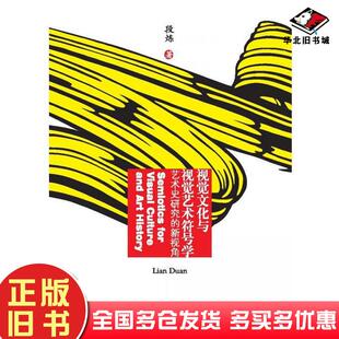 正版旧书视觉文化与视觉艺术符号学段炼四川大学出版社9787561485514