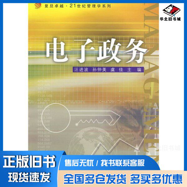 正版旧书电子政务汪进波，孙仲美，虞佳编著复旦大学出版社9787309068191