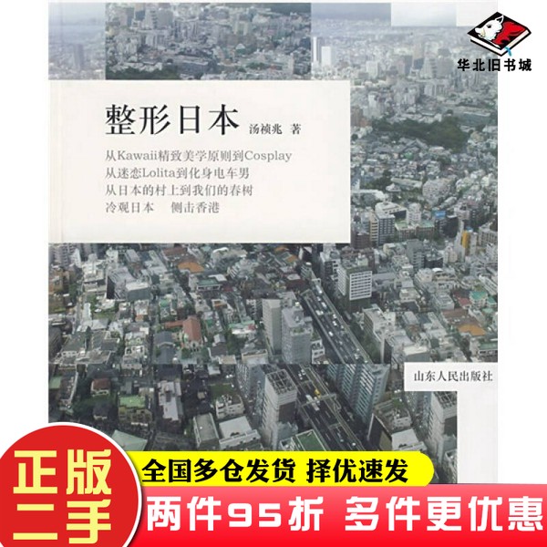二手书整形日本汤祯兆山东人民出版社9787209043700
