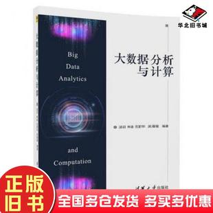 正版 社9787302485865 旧书大数据分析与计算汤羽林迪范爱华吴薇薇清华大学出版
