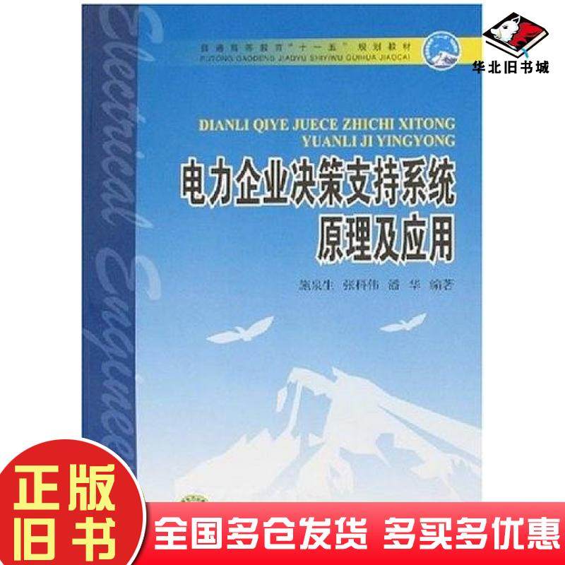 正版旧书电力企业决策支持系统原理及应用施泉生中国电力出版社9787508360485
