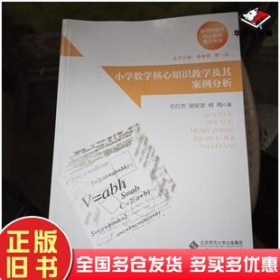 正版旧书小学数学核心知识教学及其案例分析石红芳胡安波杨梅著綦春霞曹一鸣编北京师范大学出版社9787303180424