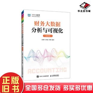 正版旧书财务大数据分析与可视化王新玲人民邮电出版社9787115632395