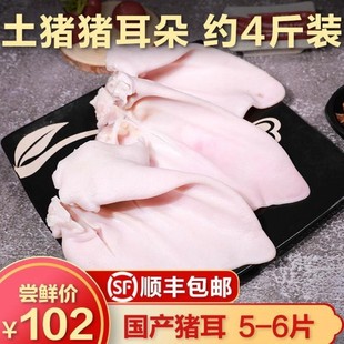 【顺丰包邮】四斤装 新鲜冷冻 猪耳朵 猪耳片 生猪耳 土猪耳 卤菜