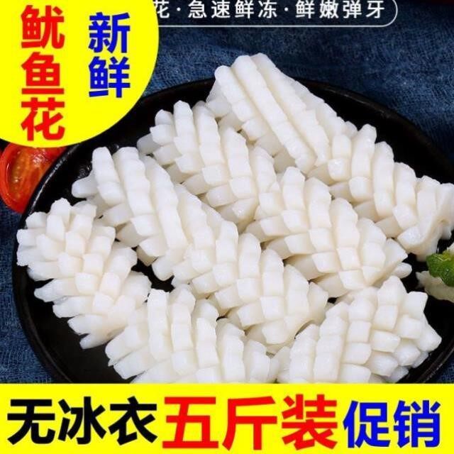 【精选5斤 鱿鱼花】目鱼花墨鱼花冰冻海鲜鲜活鱿鱼卷火锅食半斤