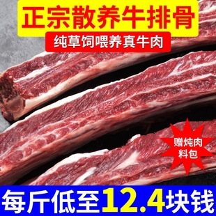 原切新鲜牛排骨多肉冷冻牛骨头带肉正宗黄牛肋排生牛肉家庭装