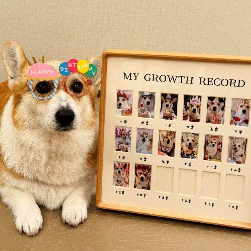狗狗生日相框照片纪念证件照摆台猫咪小宠物相片留念成长记录框厂