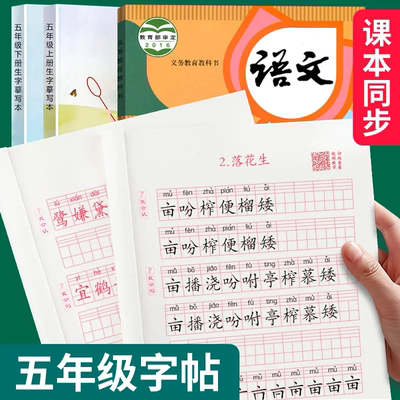 五年级上下册生字摹写本