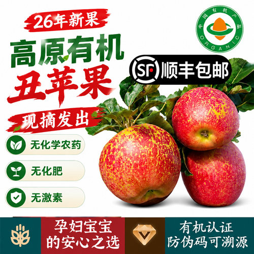 【有机认证无农残无激素】孕童