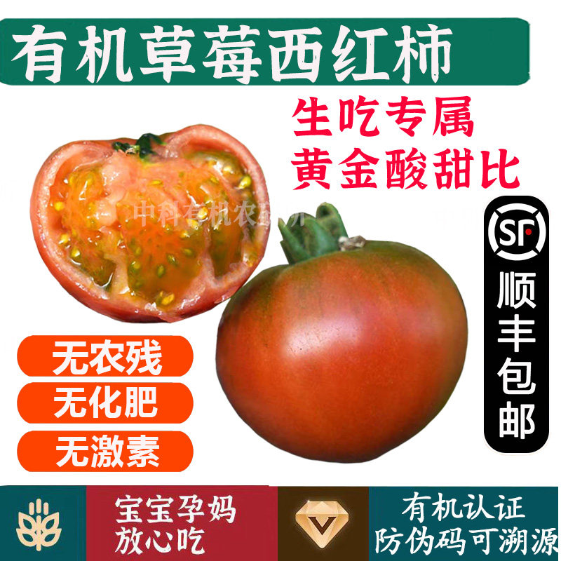 有机草莓西红柿【送货上门】铁皮柿子生吃无农残孕妇宝宝健康