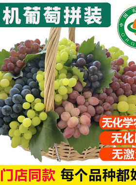 有机葡萄拼装【空运到家】巨峰茉莉香夏黑玫瑰香孕妇宝宝水果